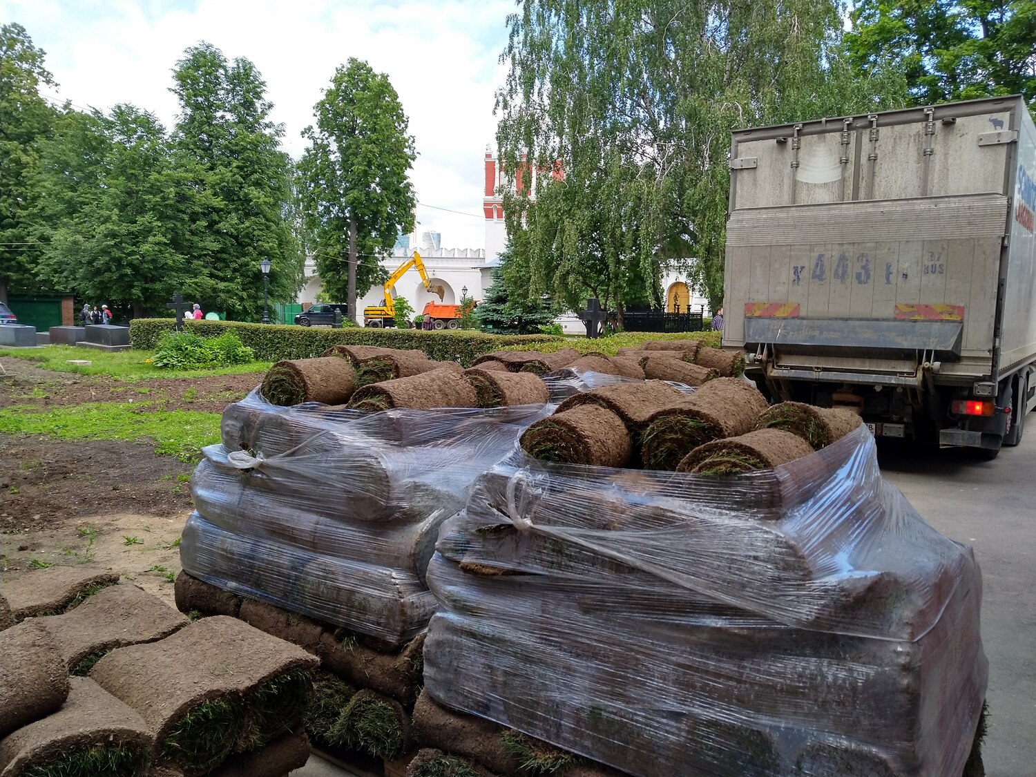 Рулонный газон